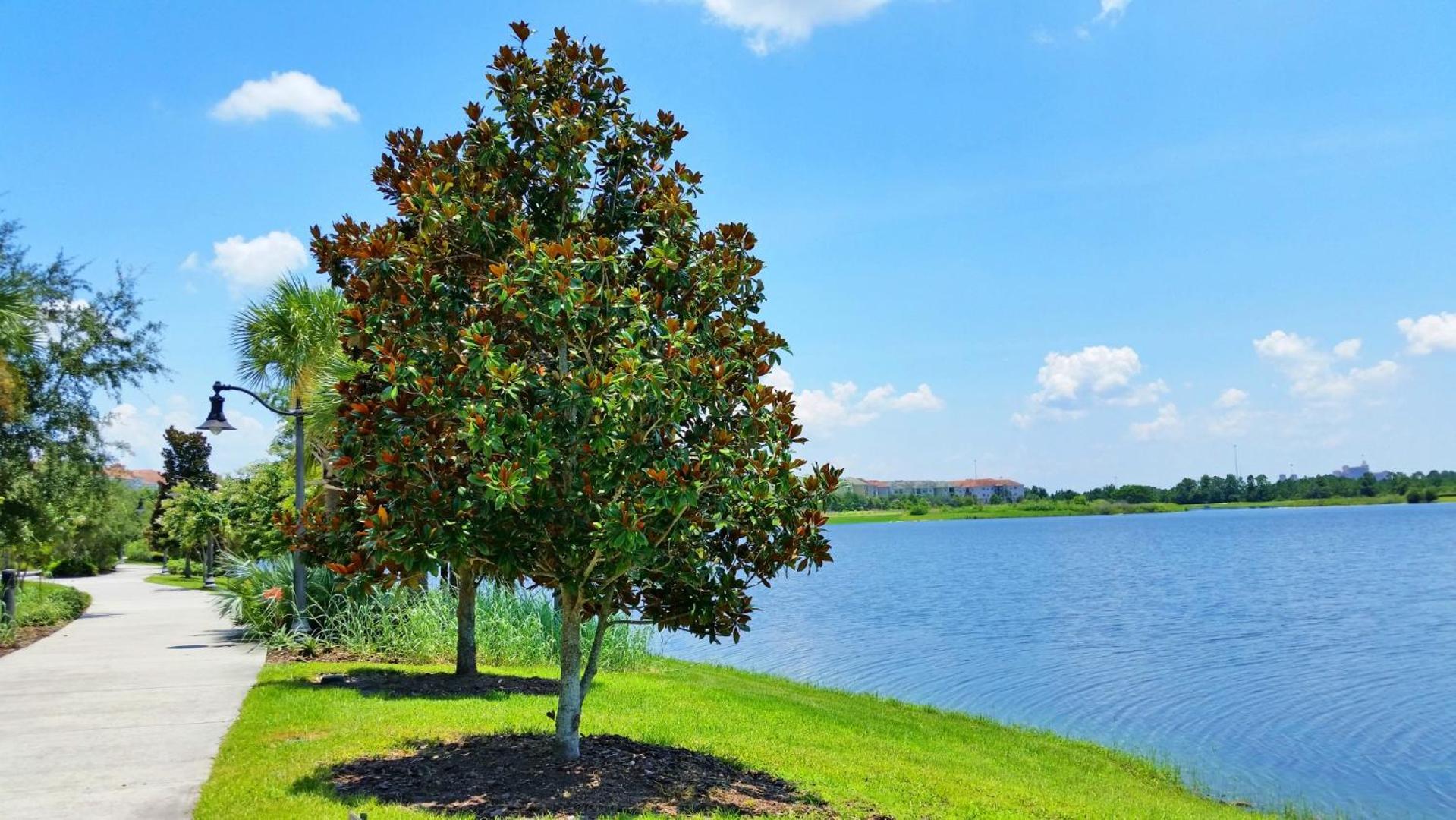 Resort Townhome: Perfect Orlando Vacation Spot Exterior photo